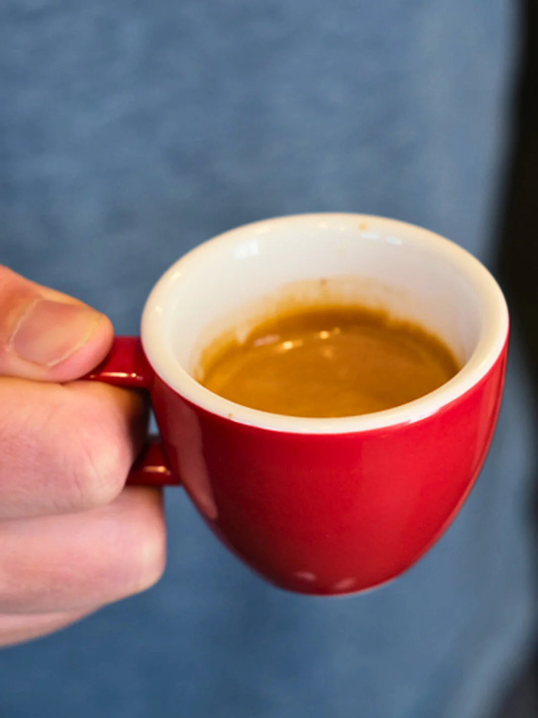 ACME Classic Mini [Demitasse] Cup (70ml/2.40oz) - Image 70