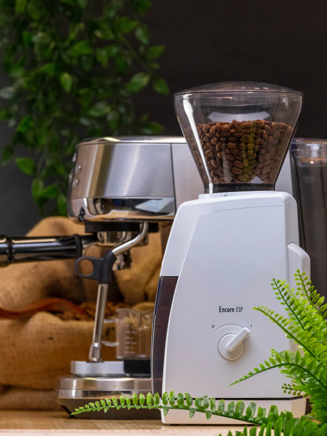 BARATZA Encore™ ESP Coffee Grinder (120V) - Image 32