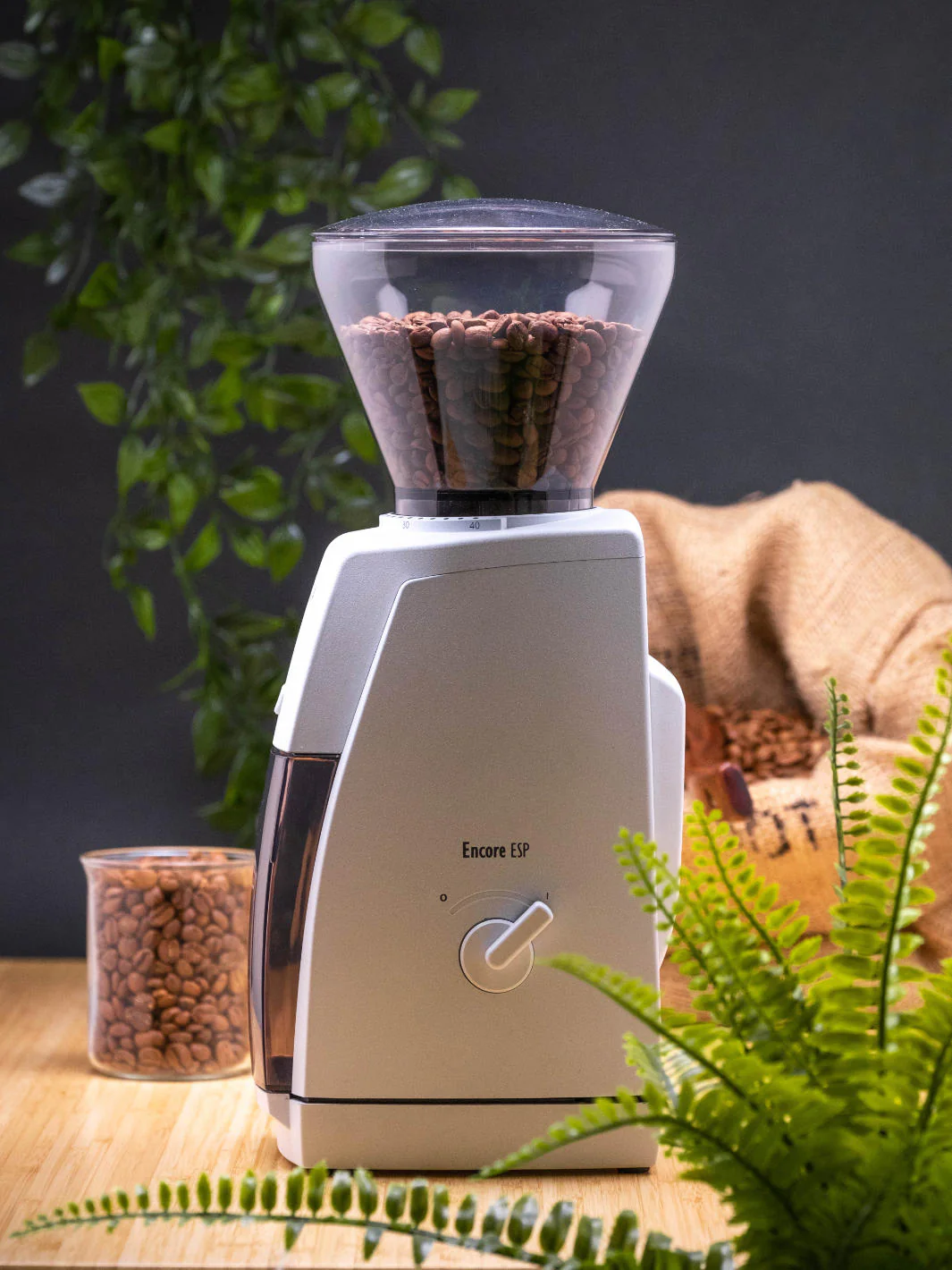 BARATZA Encore™ ESP Coffee Grinder (120V) - Image 33