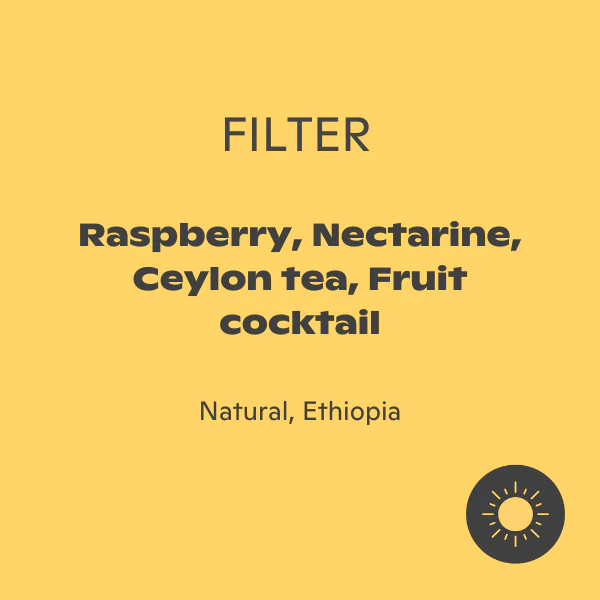 Fritz Coffee - Guji Uraga - Image 2
