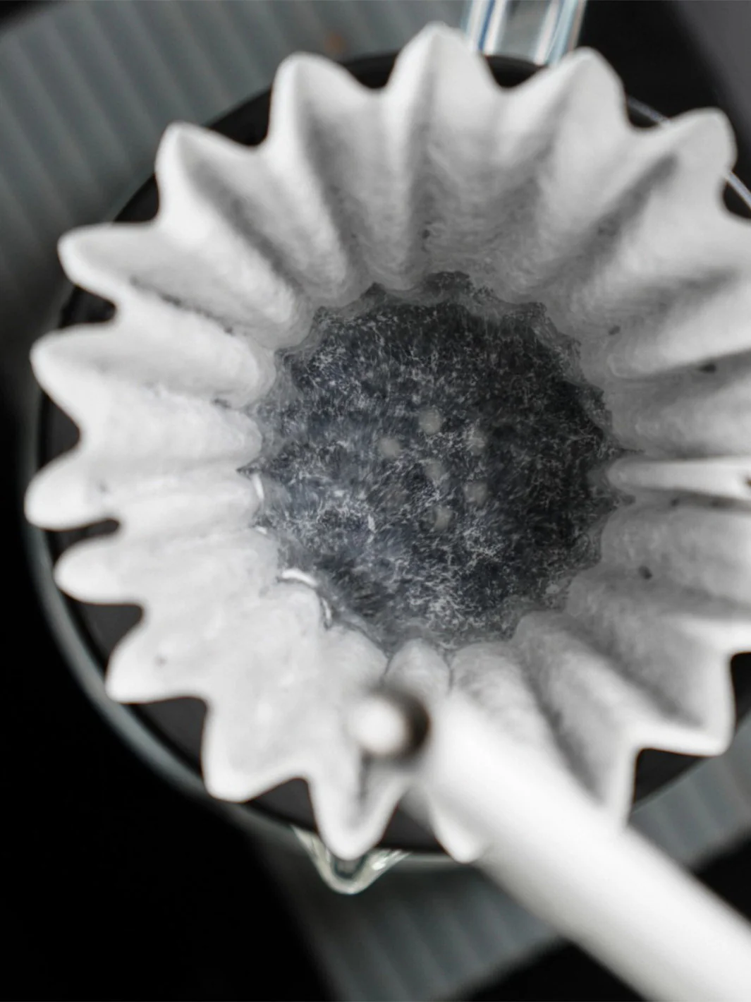 GRAYCANO Coin - Image 6