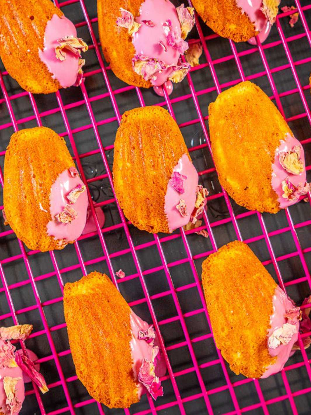 GREAT JONES Big Chill (2-Pack) - Image 10