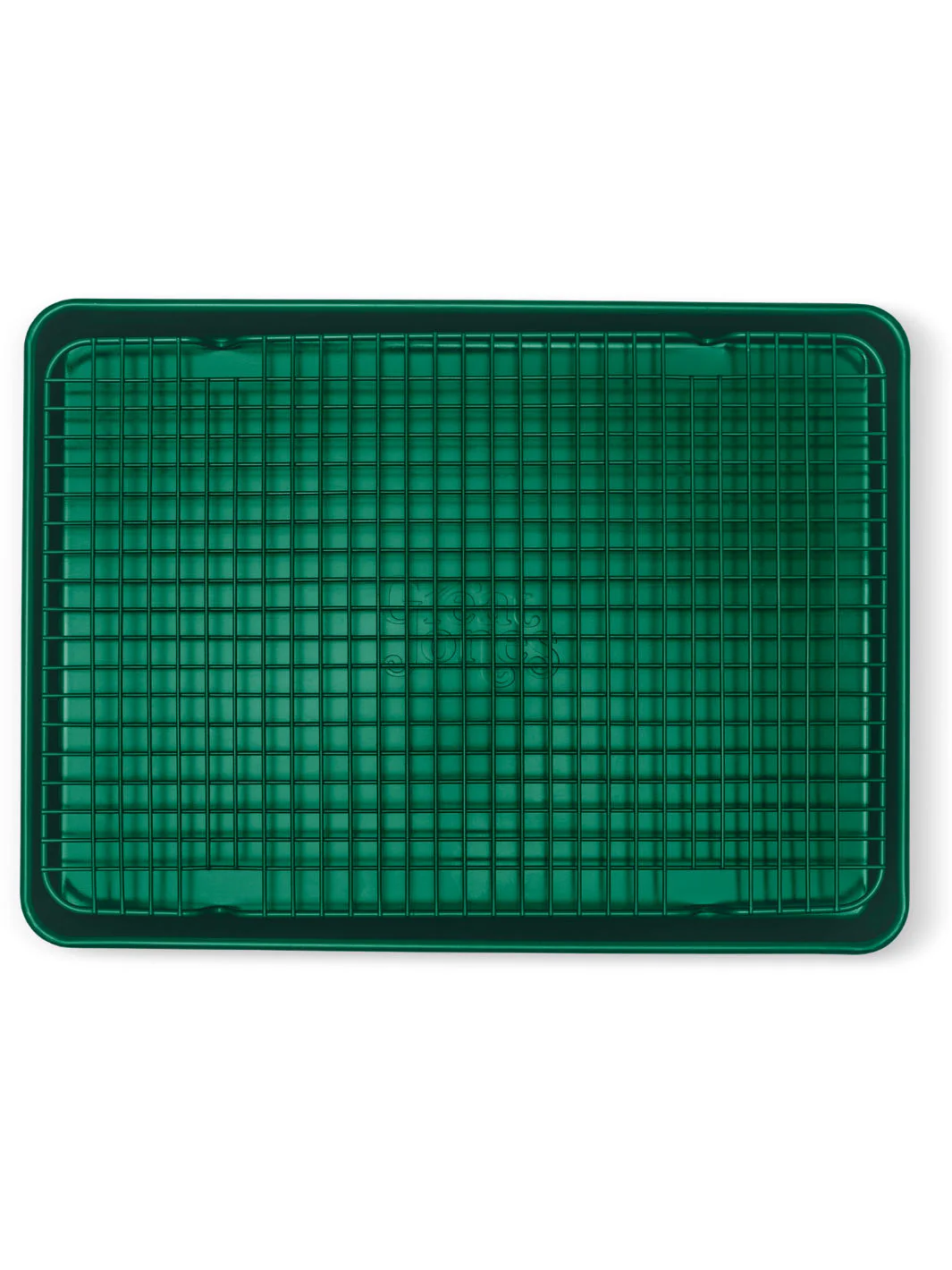 GREAT JONES Big Chill (2-Pack) - Image 4