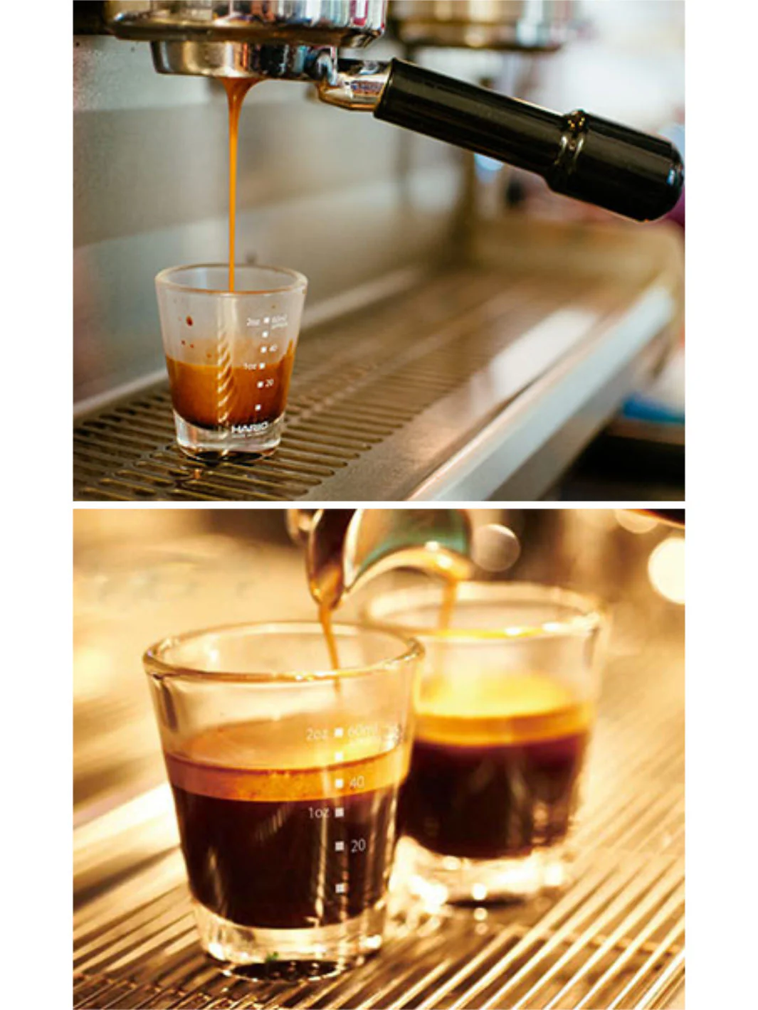HARIO Shot Glass (80ml/3oz) - Image 3