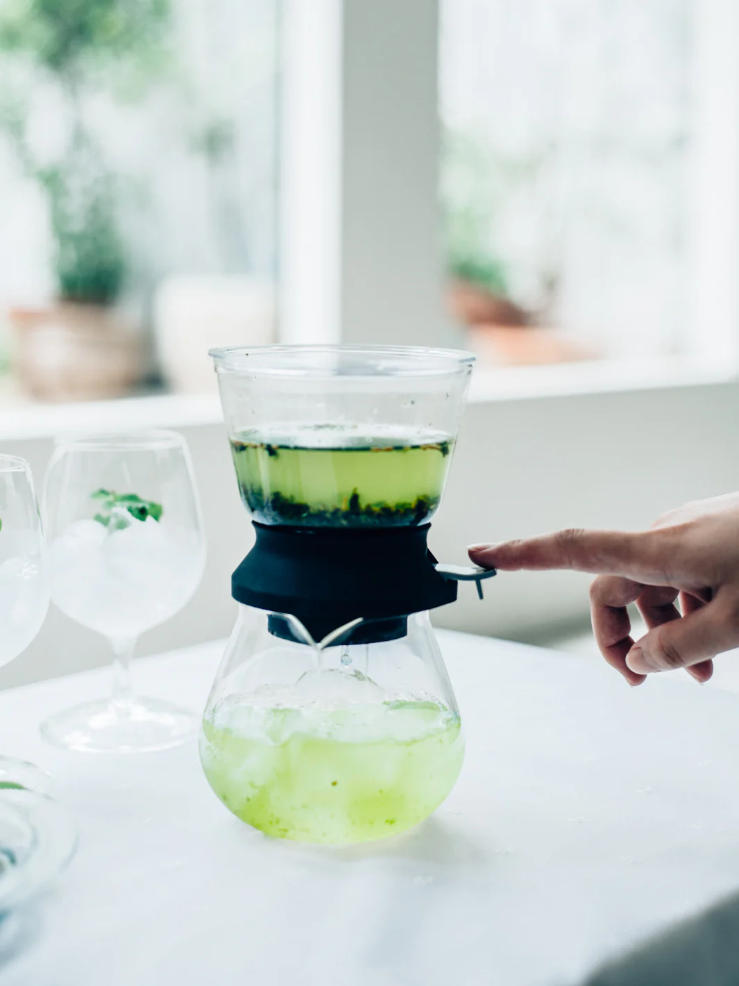 HARIO Largo 35 Tea Brewer (350ml/12oz) - Image 3