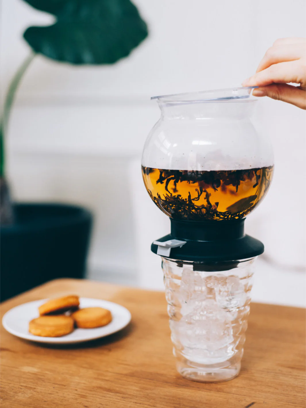 HARIO Largo Tea Brewer (800ml/27oz) - Image 9
