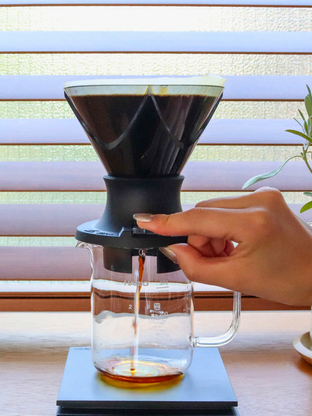 HARIO MUGEN SWITCH Immersion Dripper (200ml/6.76oz) (Plastic) - Image 9
