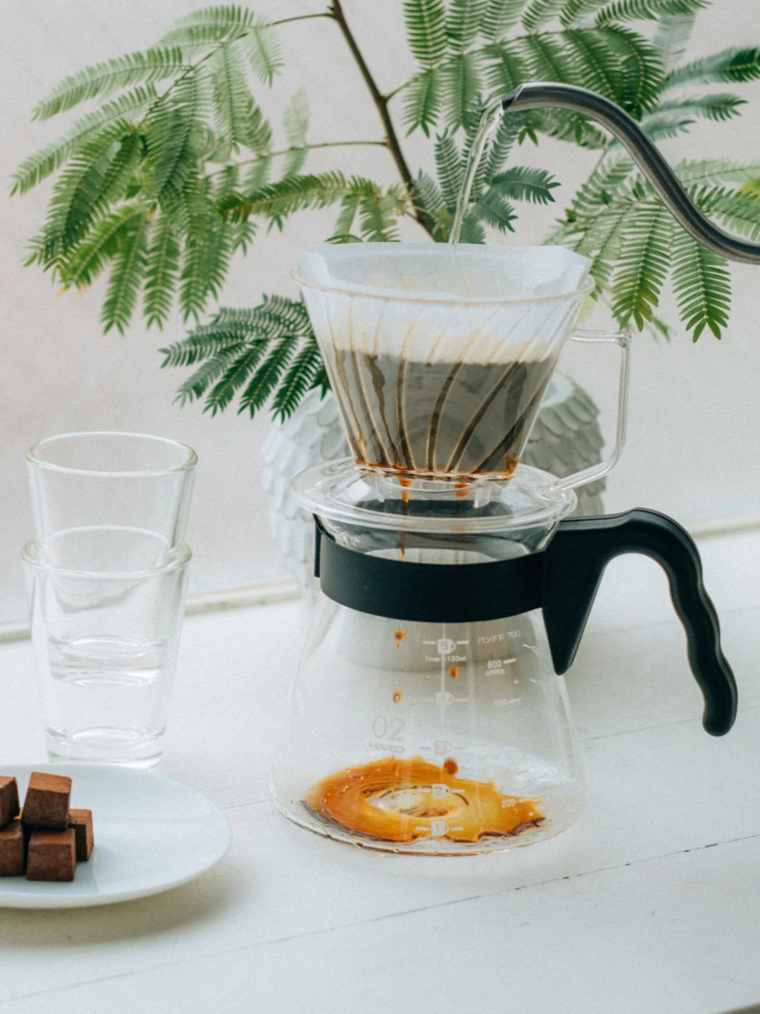 HARIO Pegasus 02 Dripper (Plastic) - Image 8