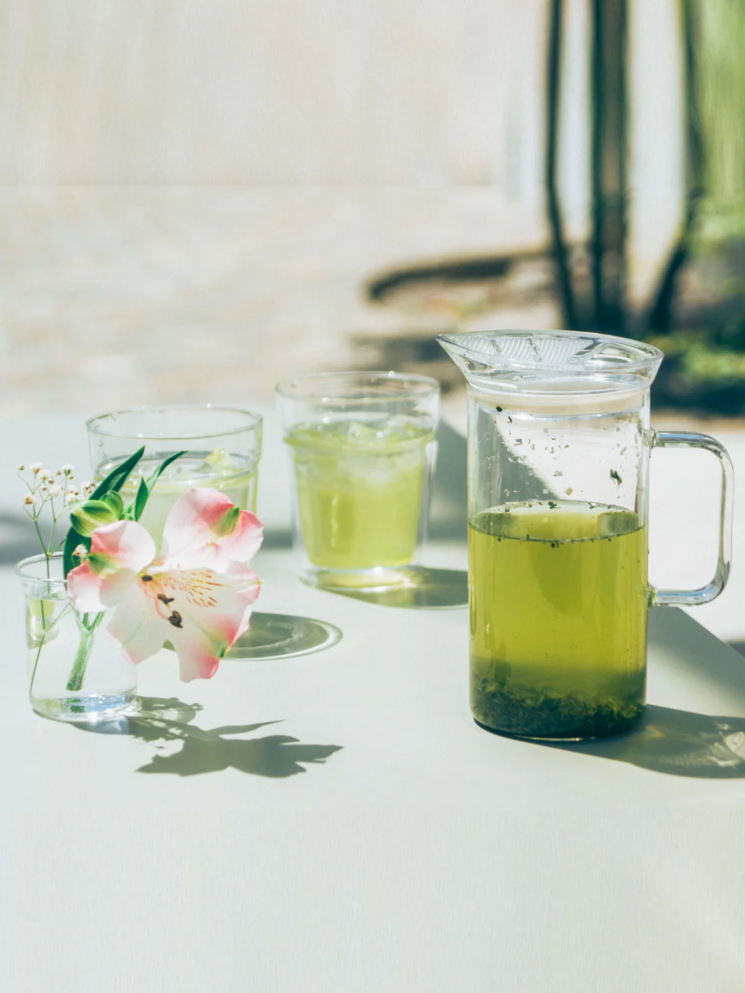 HARIO SIMPLY Glass Tea Maker - Image 8