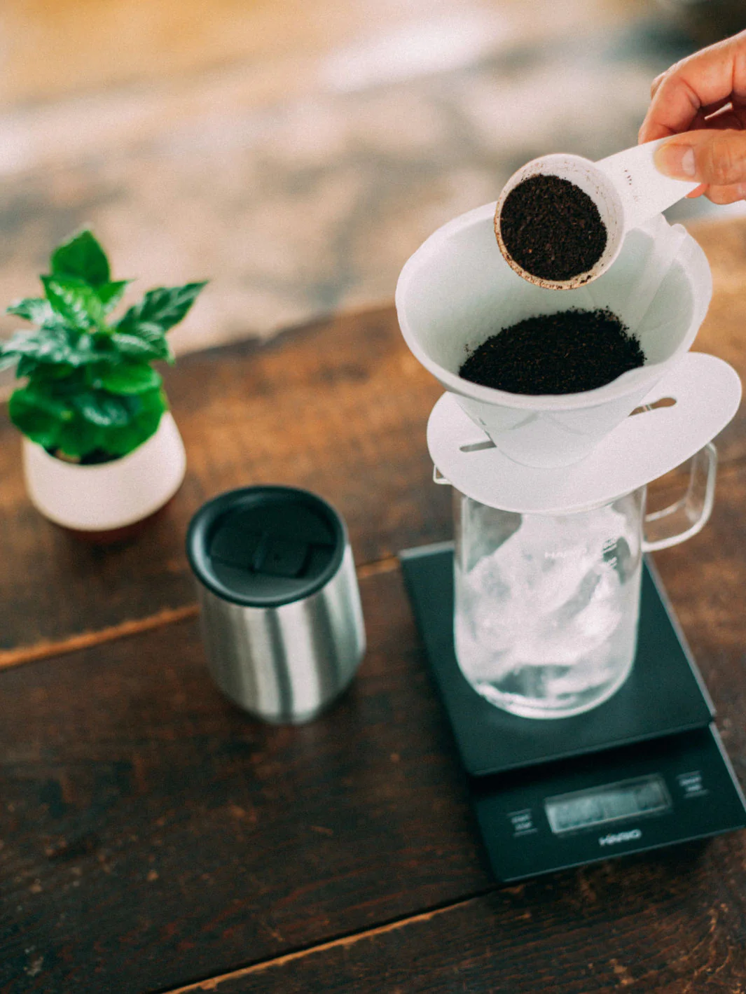 HARIO V60 MUGEN Dripper (Ceramic) - Image 4