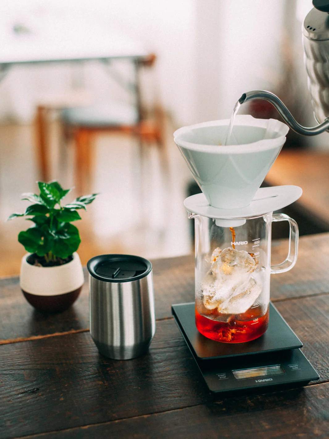 HARIO V60 MUGEN Dripper (Ceramic) - Image 5