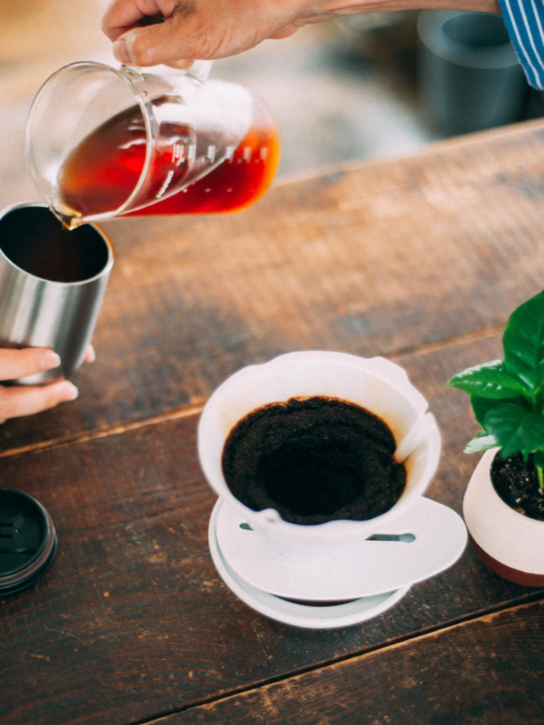 HARIO V60 MUGEN Dripper (Ceramic) - Image 6