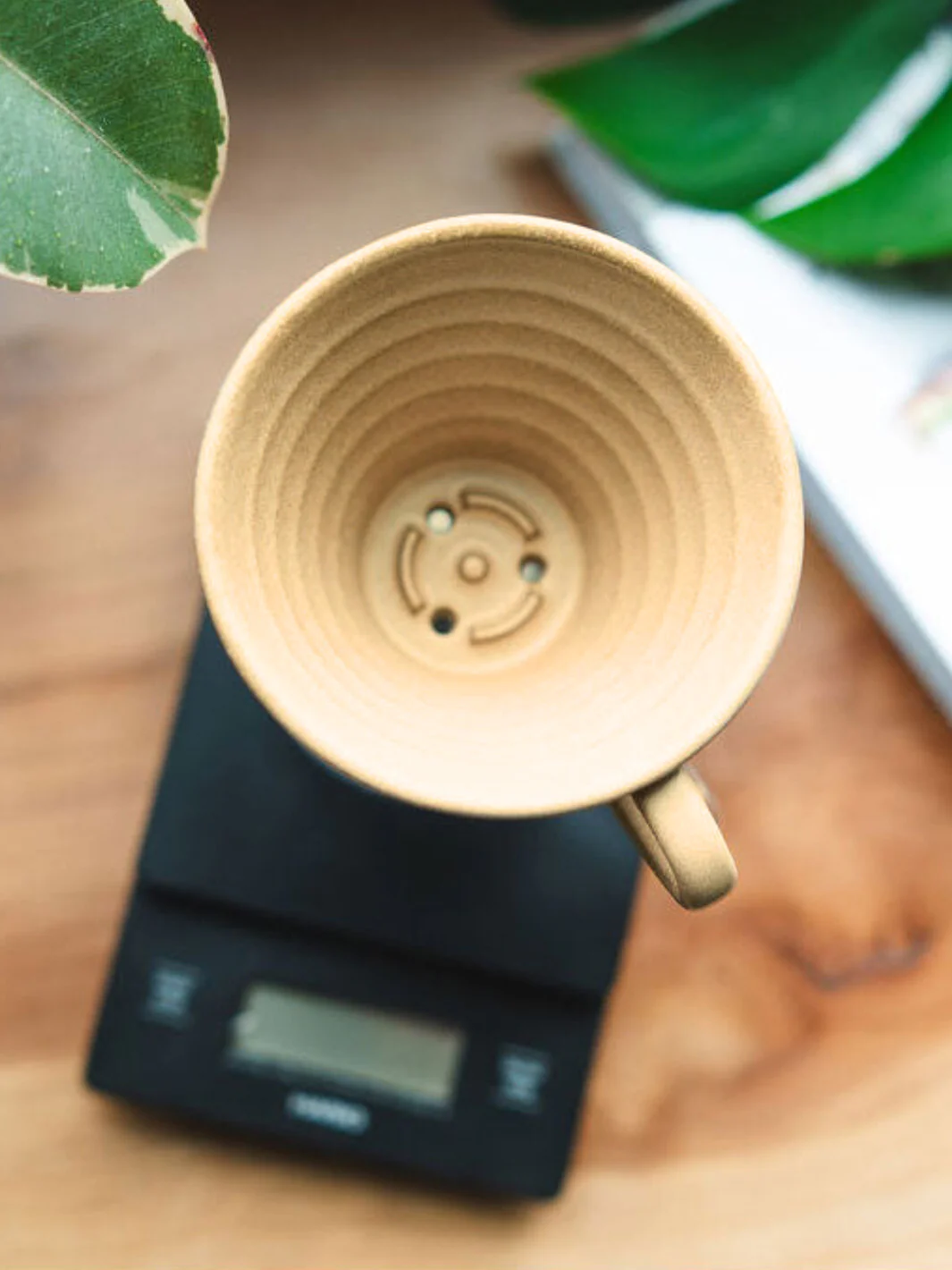 KALITA Wave 185 MINO Pottery Dripper - Image 22