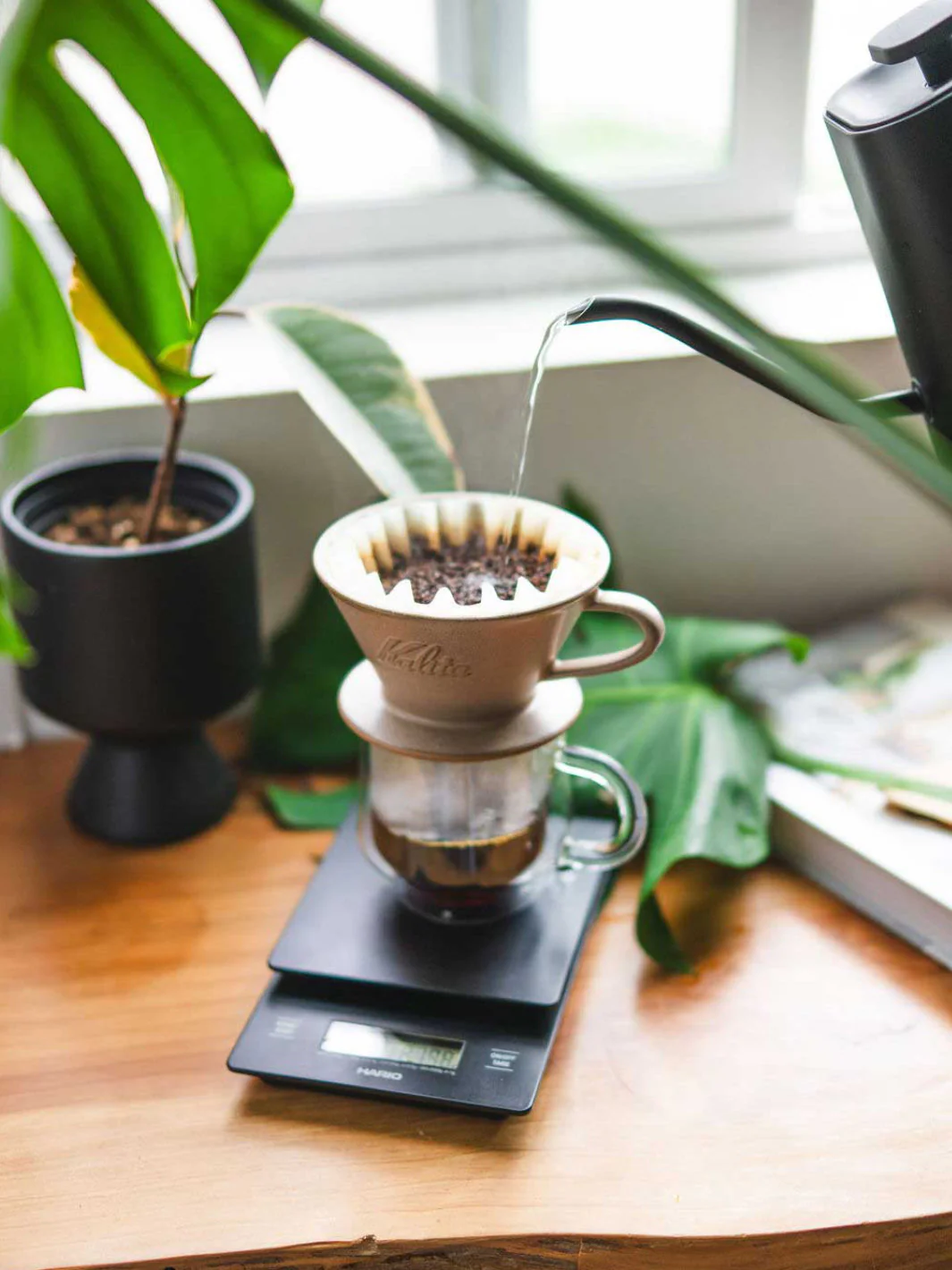 KALITA Wave 185 MINO Pottery Dripper - Image 23