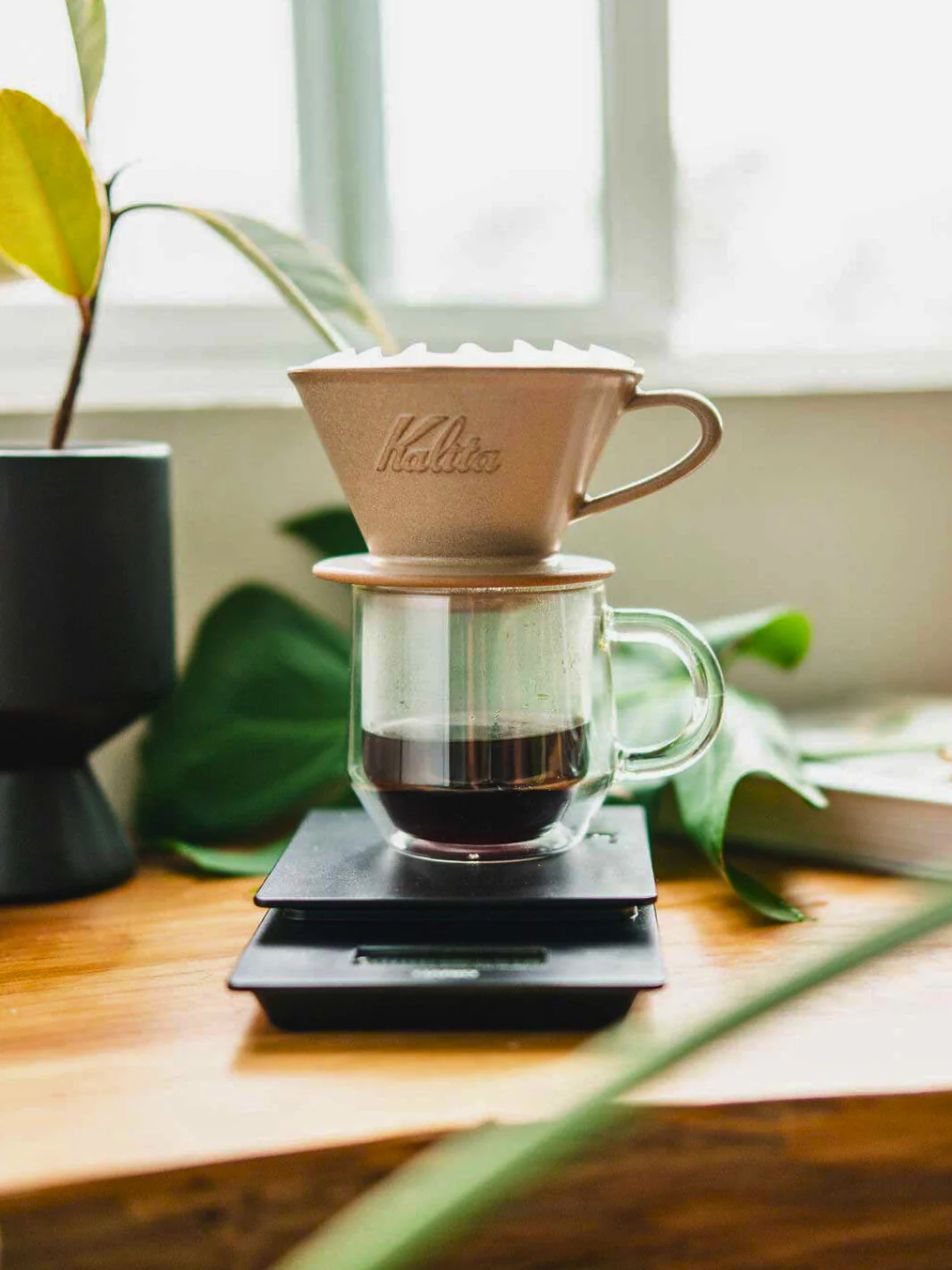 KALITA Wave 185 MINO Pottery Dripper - Image 24