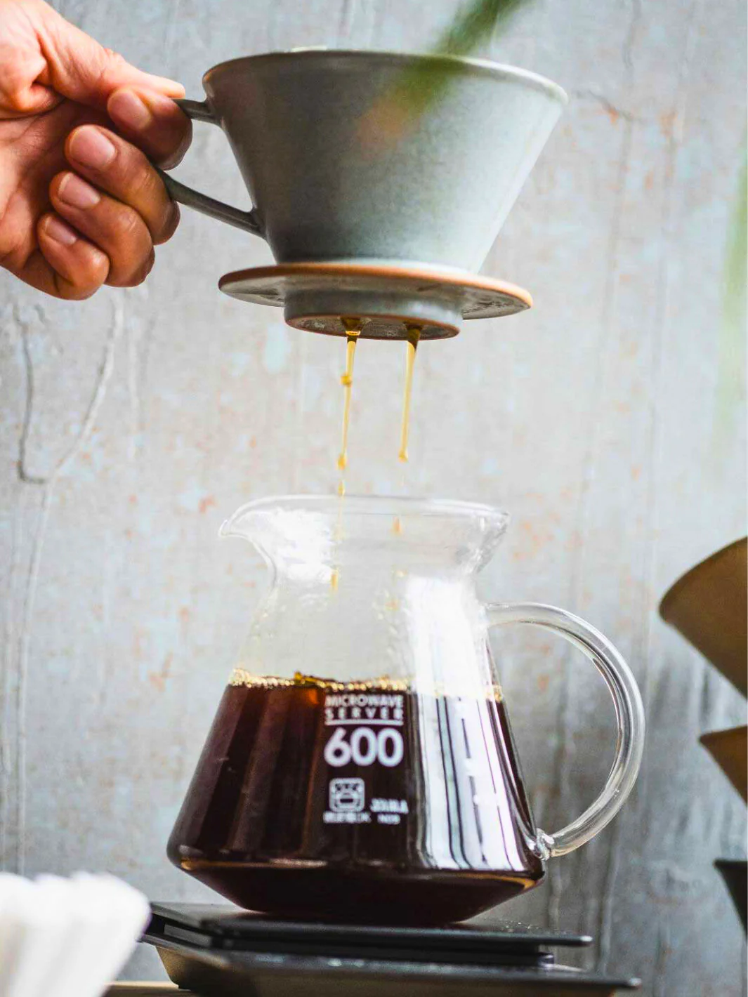 KALITA Wave 185 MINO Pottery Dripper - Image 32