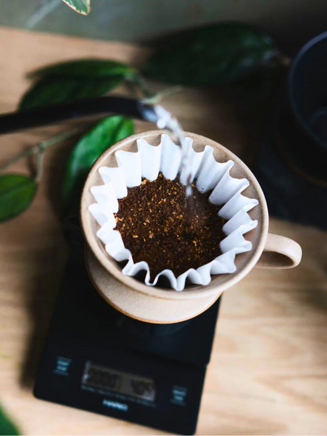KALITA Wave 185 MINO Pottery Dripper - Image 8