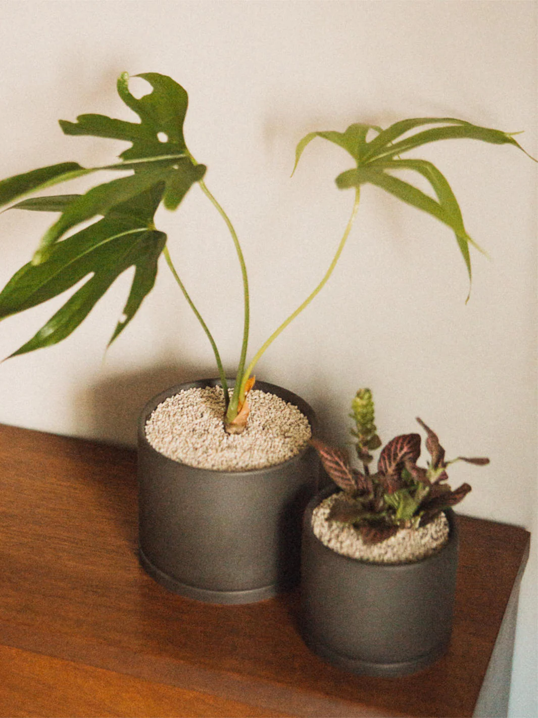 KINTO PLANT POT 191 (⌀105mm/4.2in) - Image 2