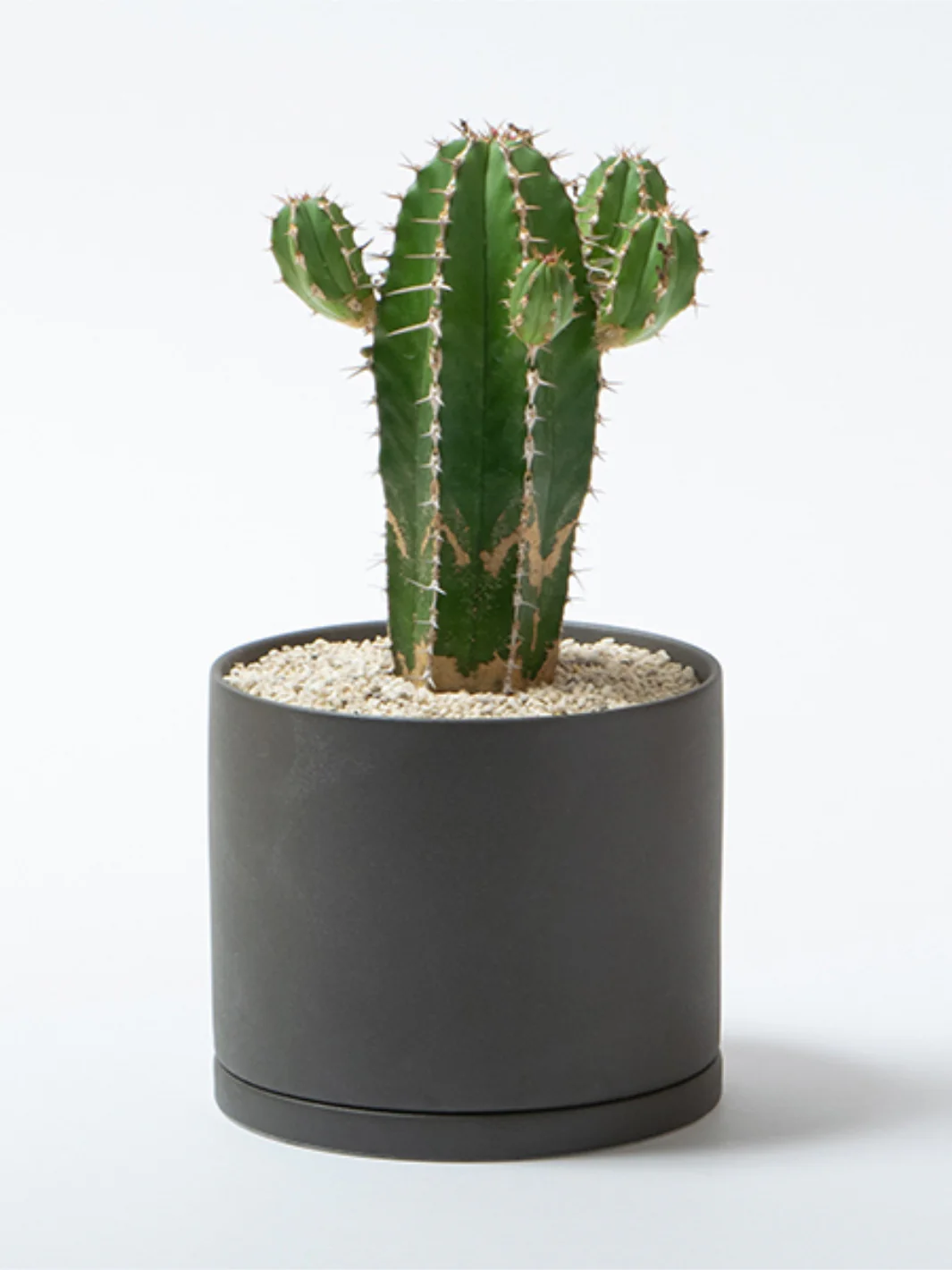 KINTO PLANT POT 191 (⌀135mm/5.4in) - Image 2