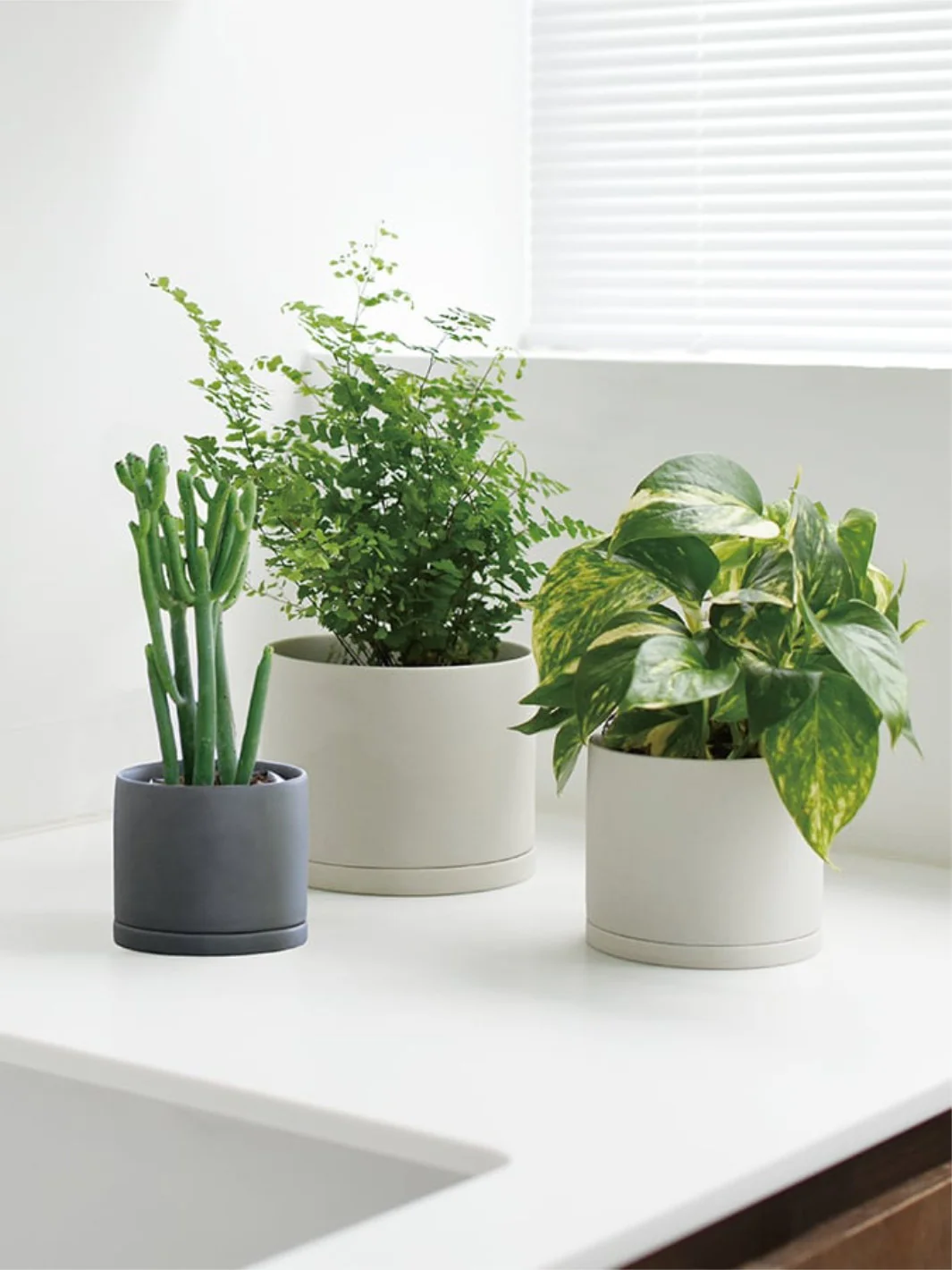 KINTO PLANT POT 191 (⌀135mm/5.4in) - Image 5