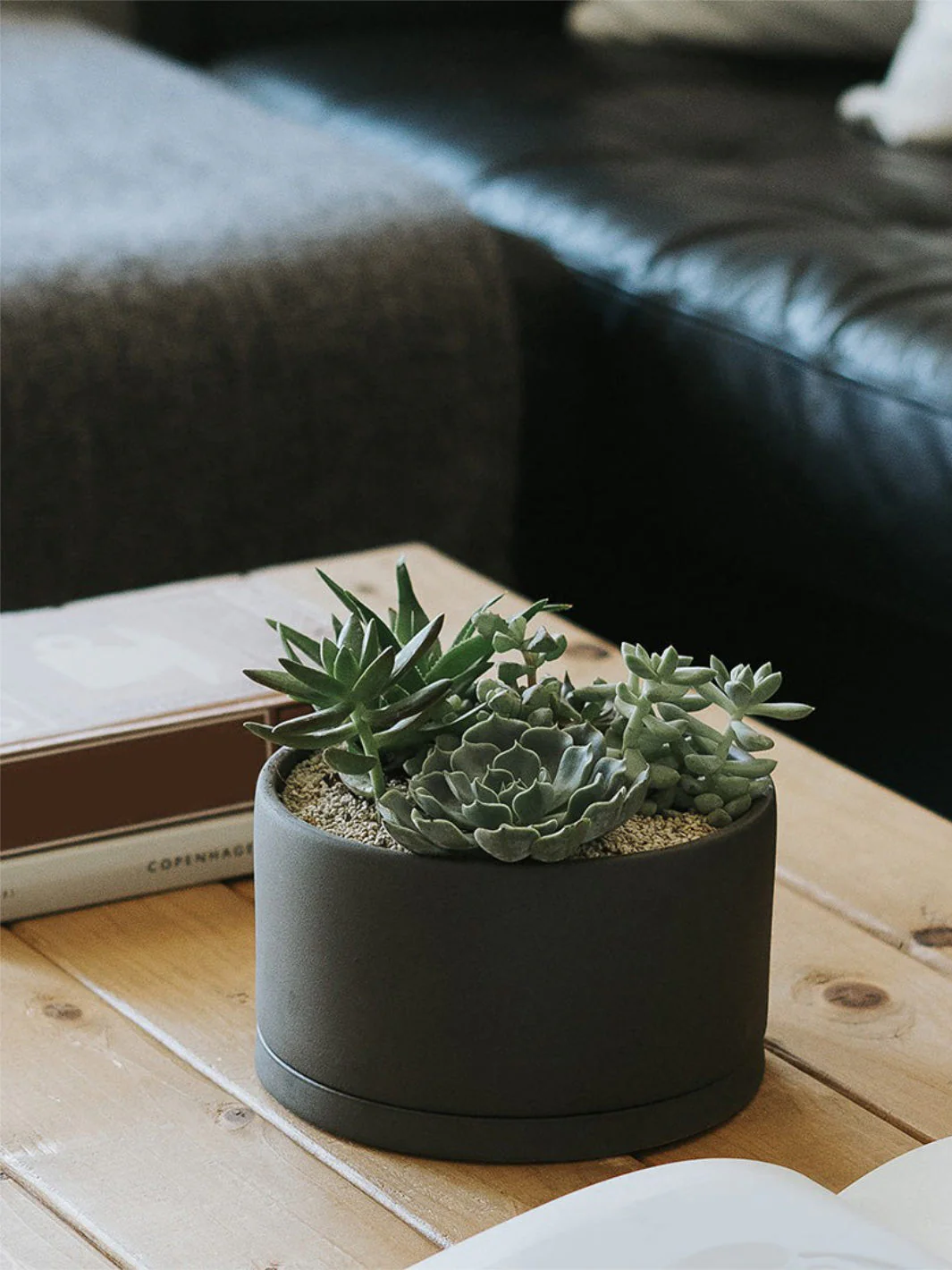KINTO PLANT POT 191 (⌀170mm/6.8in) - Image 3