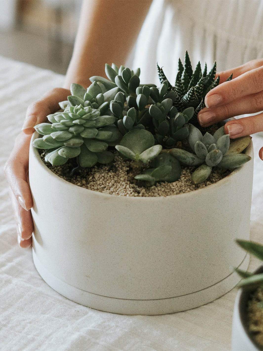 KINTO PLANT POT 191 (⌀170mm/6.8in) - Image 7