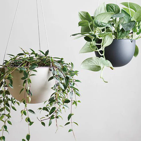 KINTO PLANT POT 201 140mm - Image 3