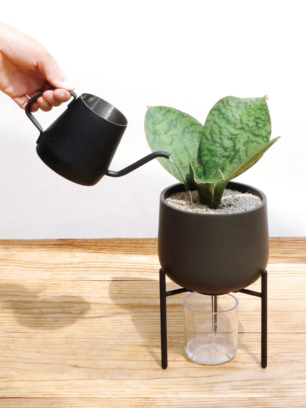 KINTO PLANT POT 211 (135mm/5.4in) - Image 3
