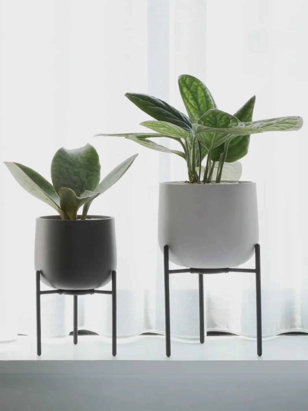 KINTO PLANT POT 211 (160mm/6.4in) - Image 2