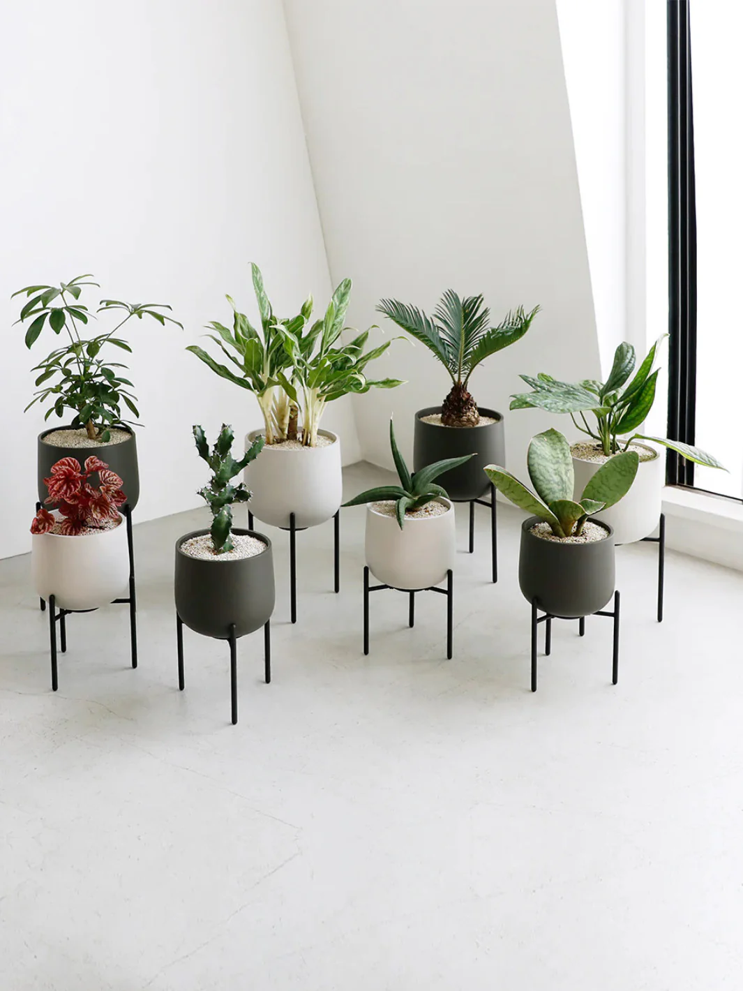KINTO PLANT POT 211 (160mm/6.4in) - Image 3