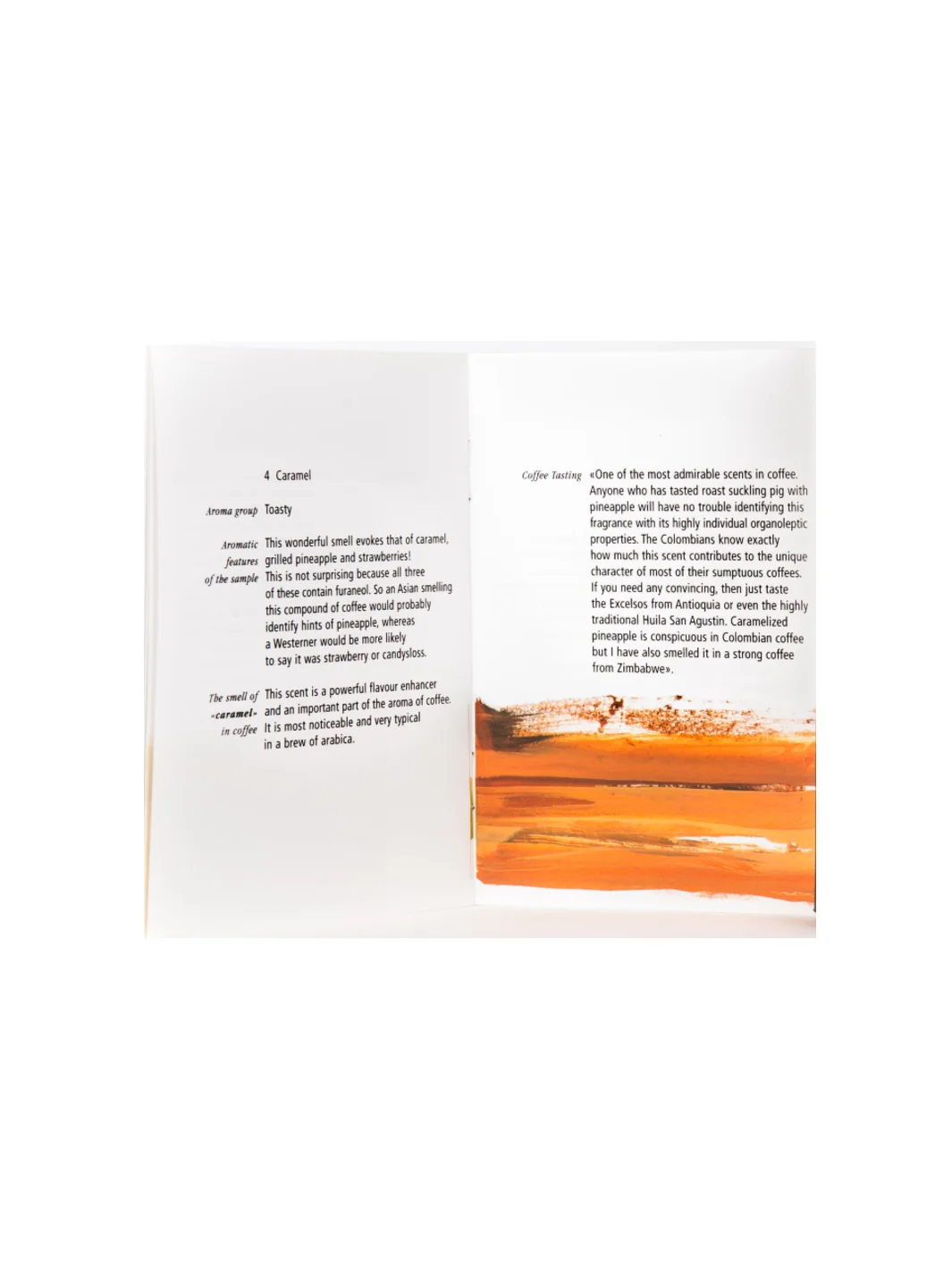 Le Nez du Café Temptation (6 aromas) (English) - Image 4