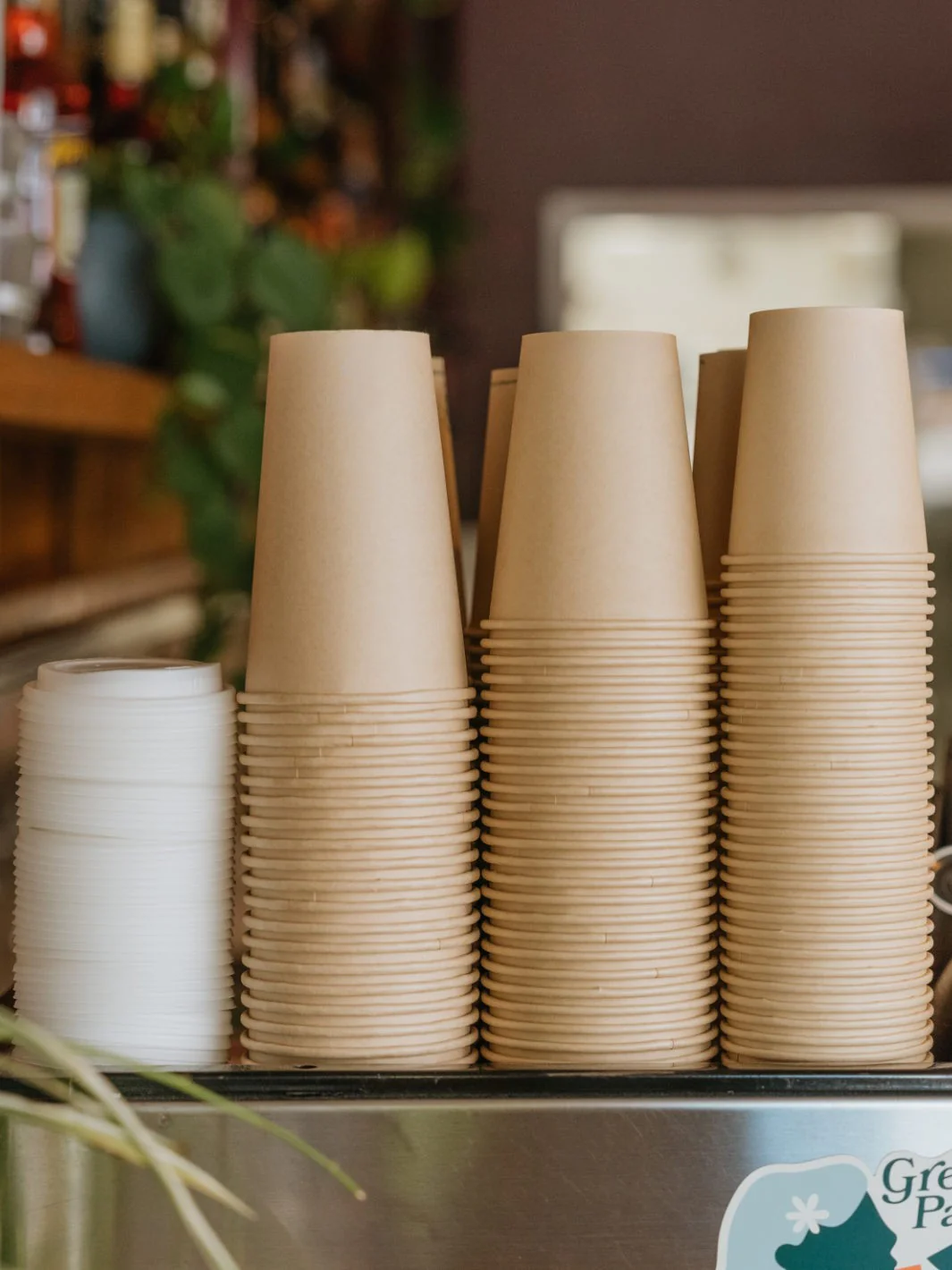 LITTLE GREEN PANDA Home Compostable Paper Cup (1000-Pack) (Brown) - Image 11