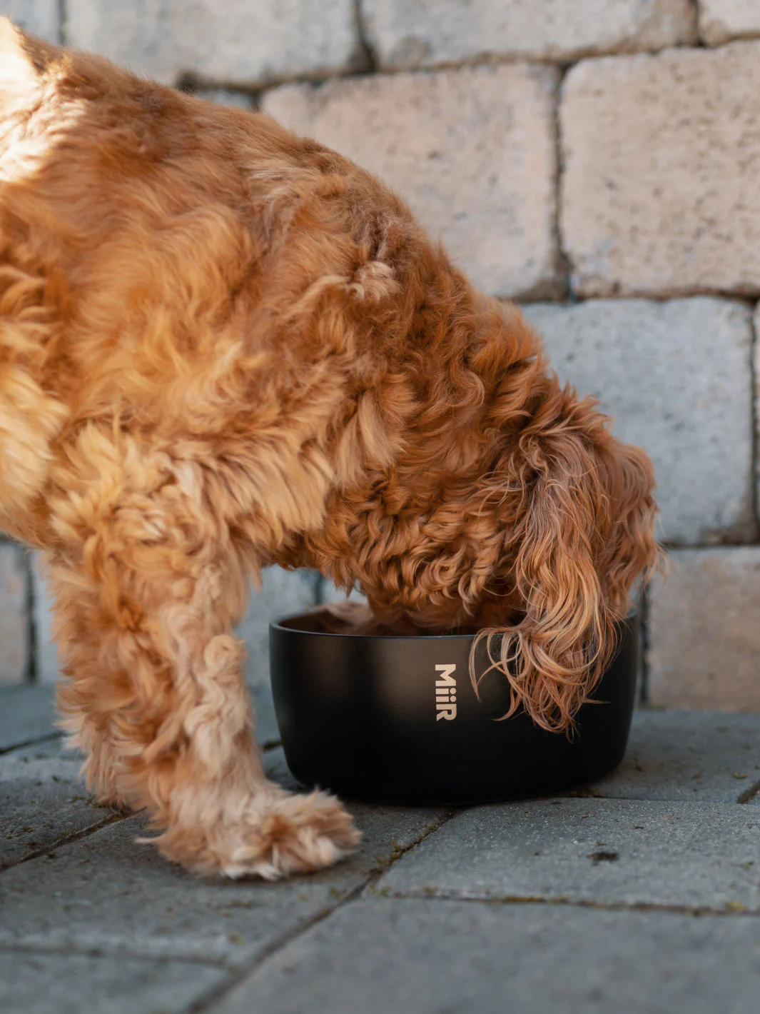 MiiR Dog Bowl (1500ml/50oz) - Image 5