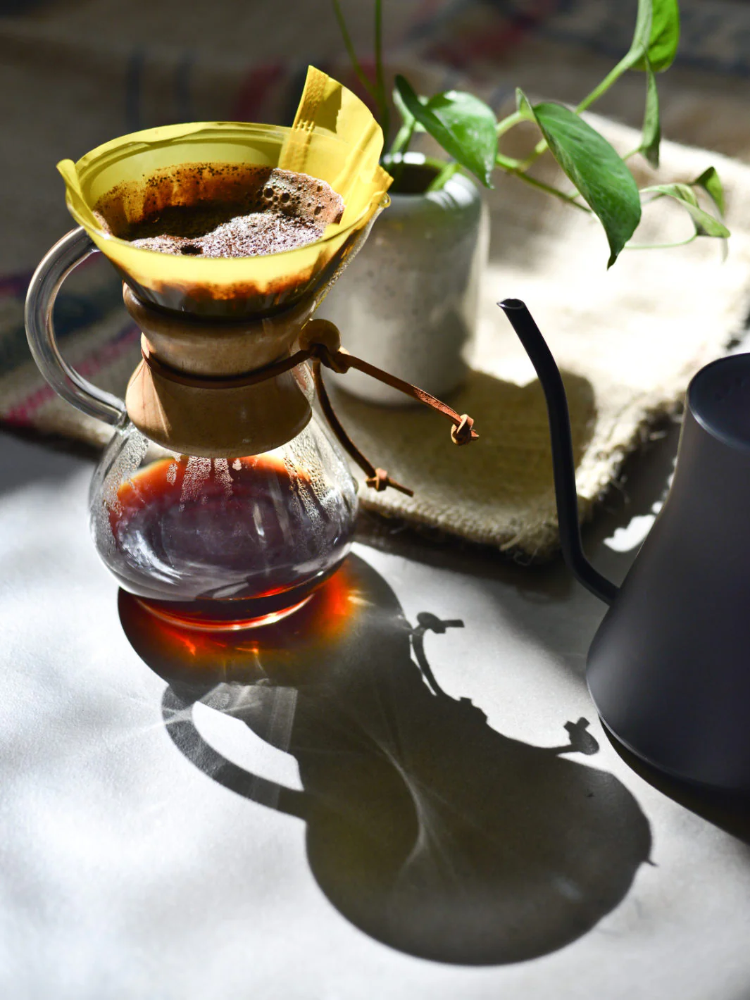 PRECISE BREW CHEMEX® 6-Cup Filters - Image 7