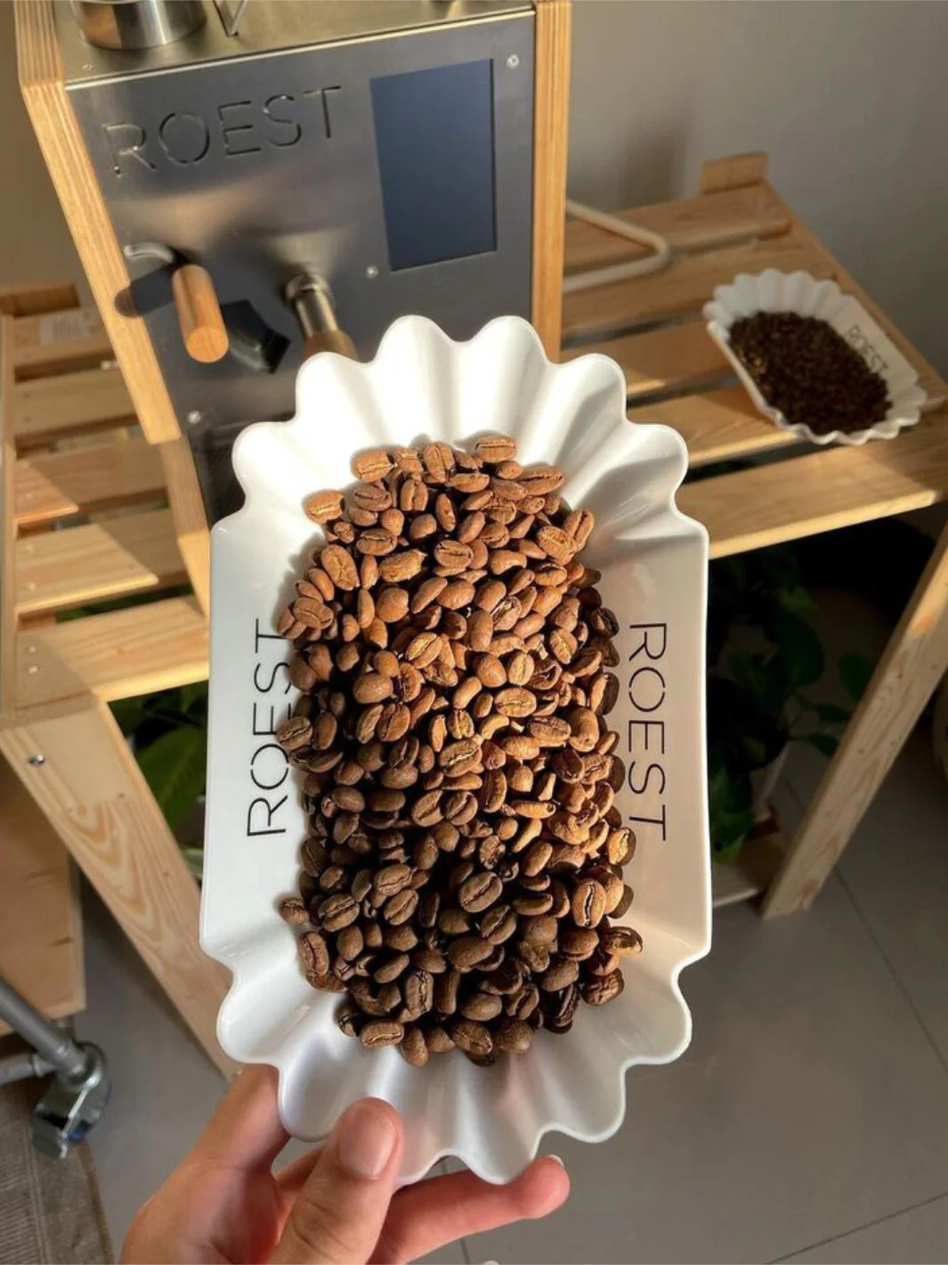 ROEST Bean Tray (Lightly Used) - Image 2