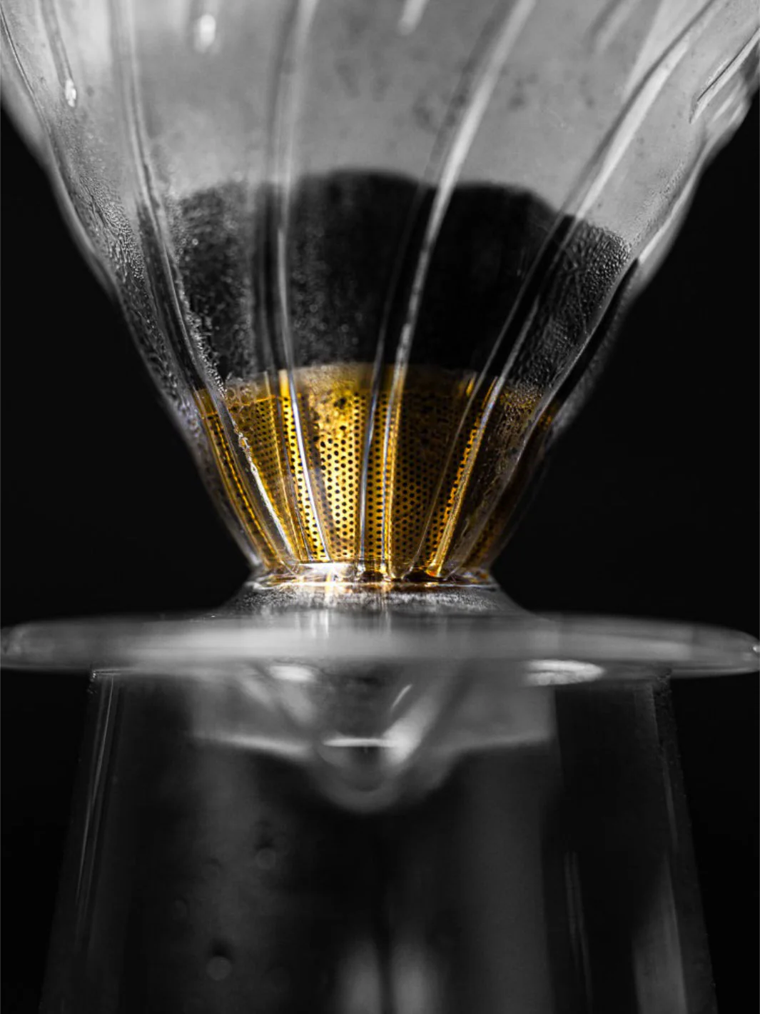 SIBARIST BOOSTER CONE - Image 4