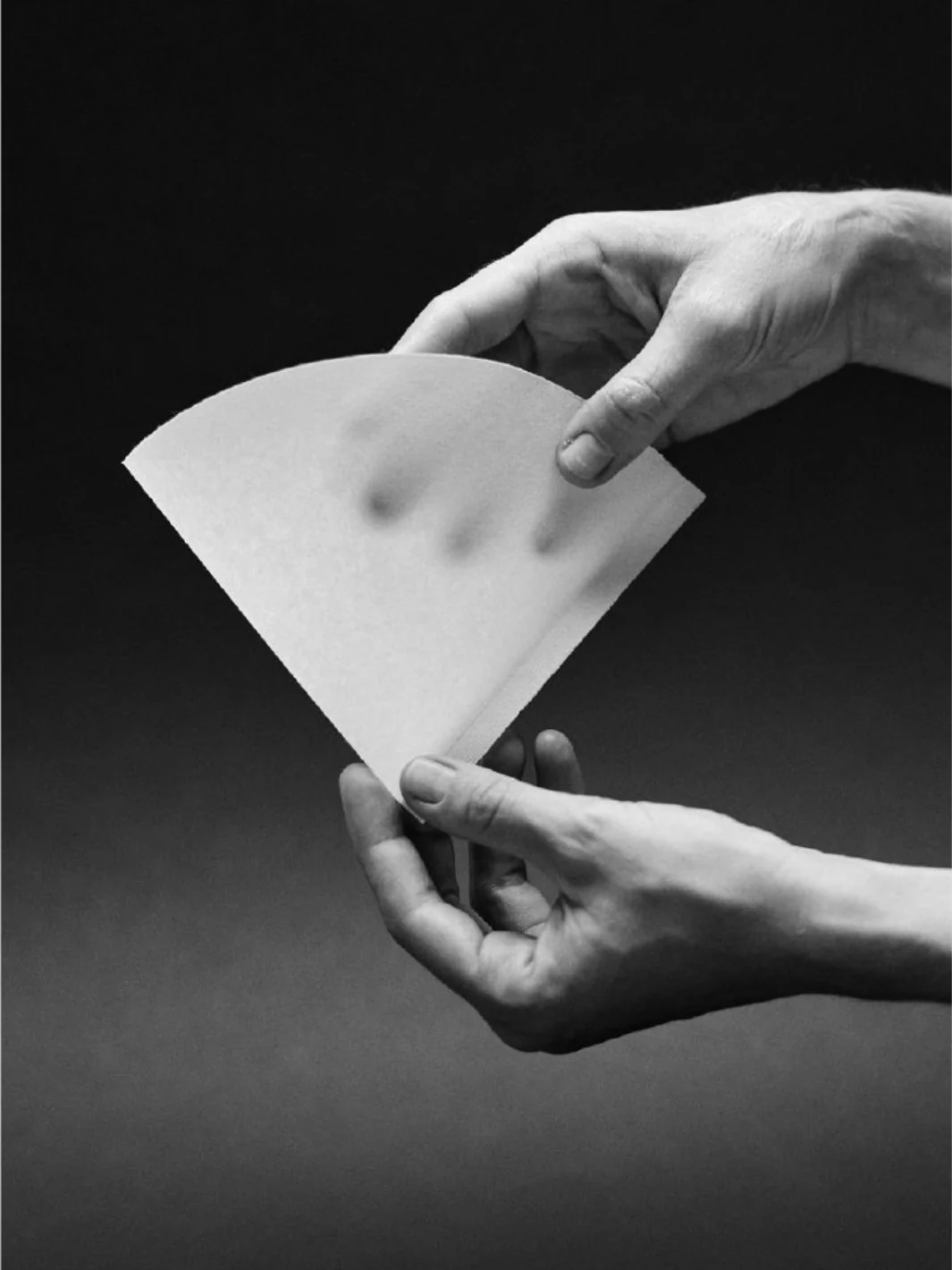 SIBARIST CONE Specialty Coffee Filters - Image 11