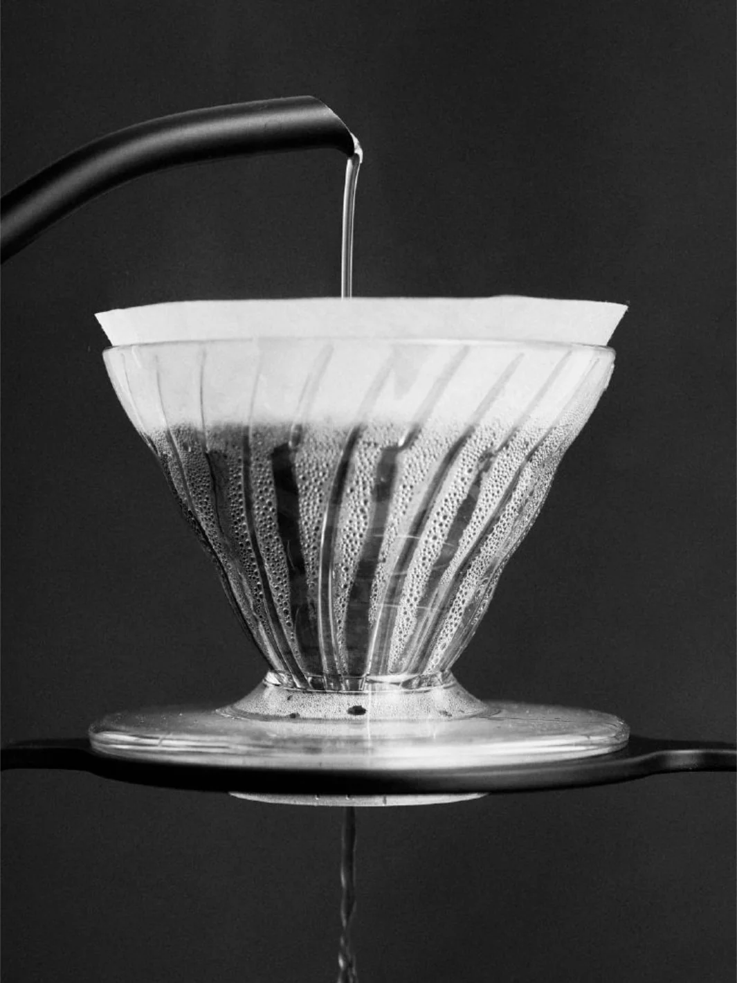 SIBARIST CONE Specialty Coffee Filters - Image 21