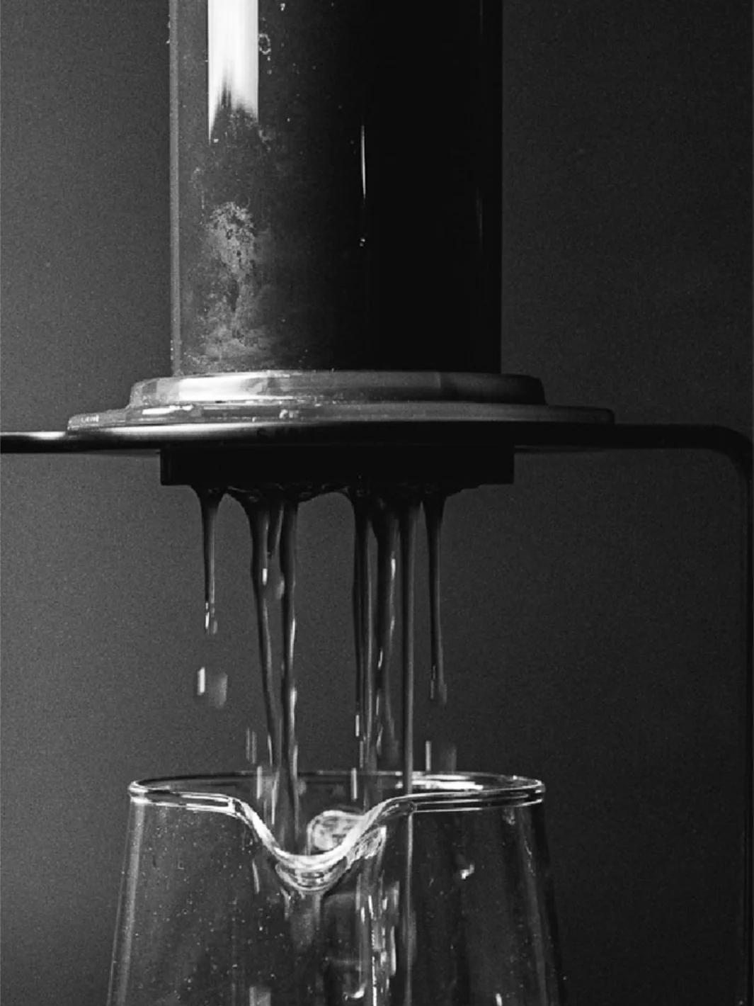 SIBARIST DISC 63 Specialty Coffee Filters - Image 5