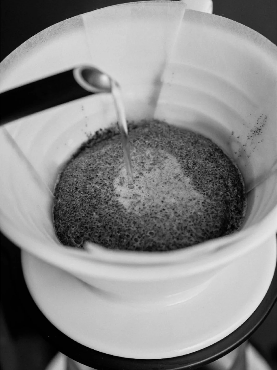 SIBARIST FLAT Specialty Coffee Filters - Image 22
