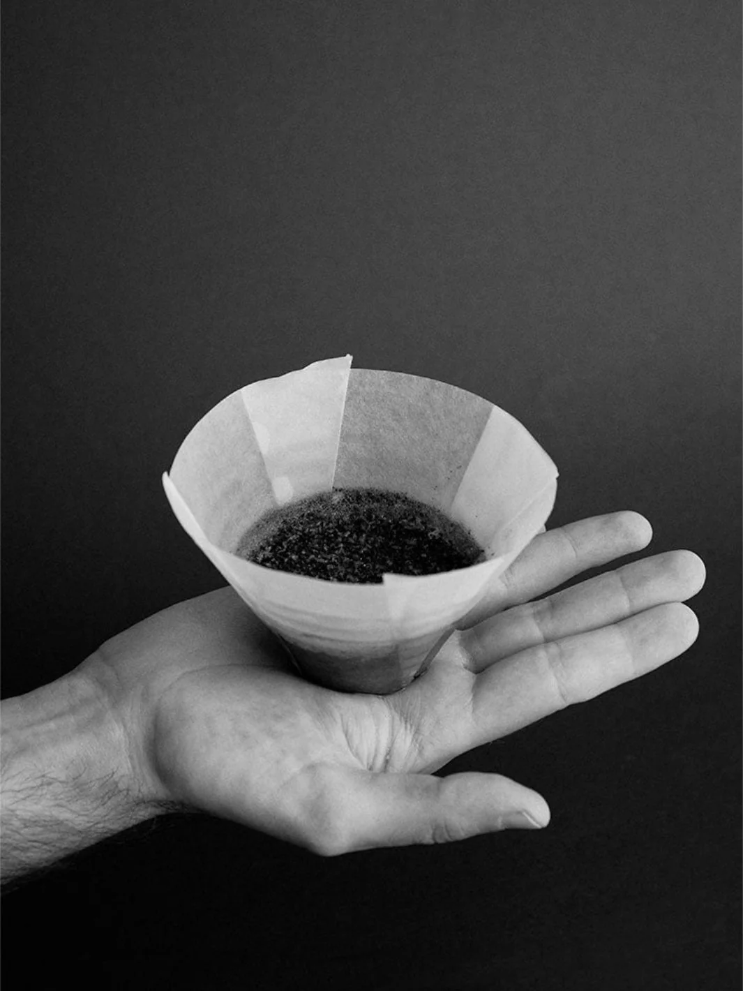 SIBARIST FLAT Specialty Coffee Filters - Image 25