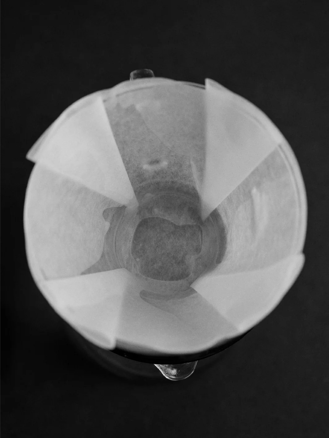 SIBARIST FLAT Specialty Coffee Filters - Image 4