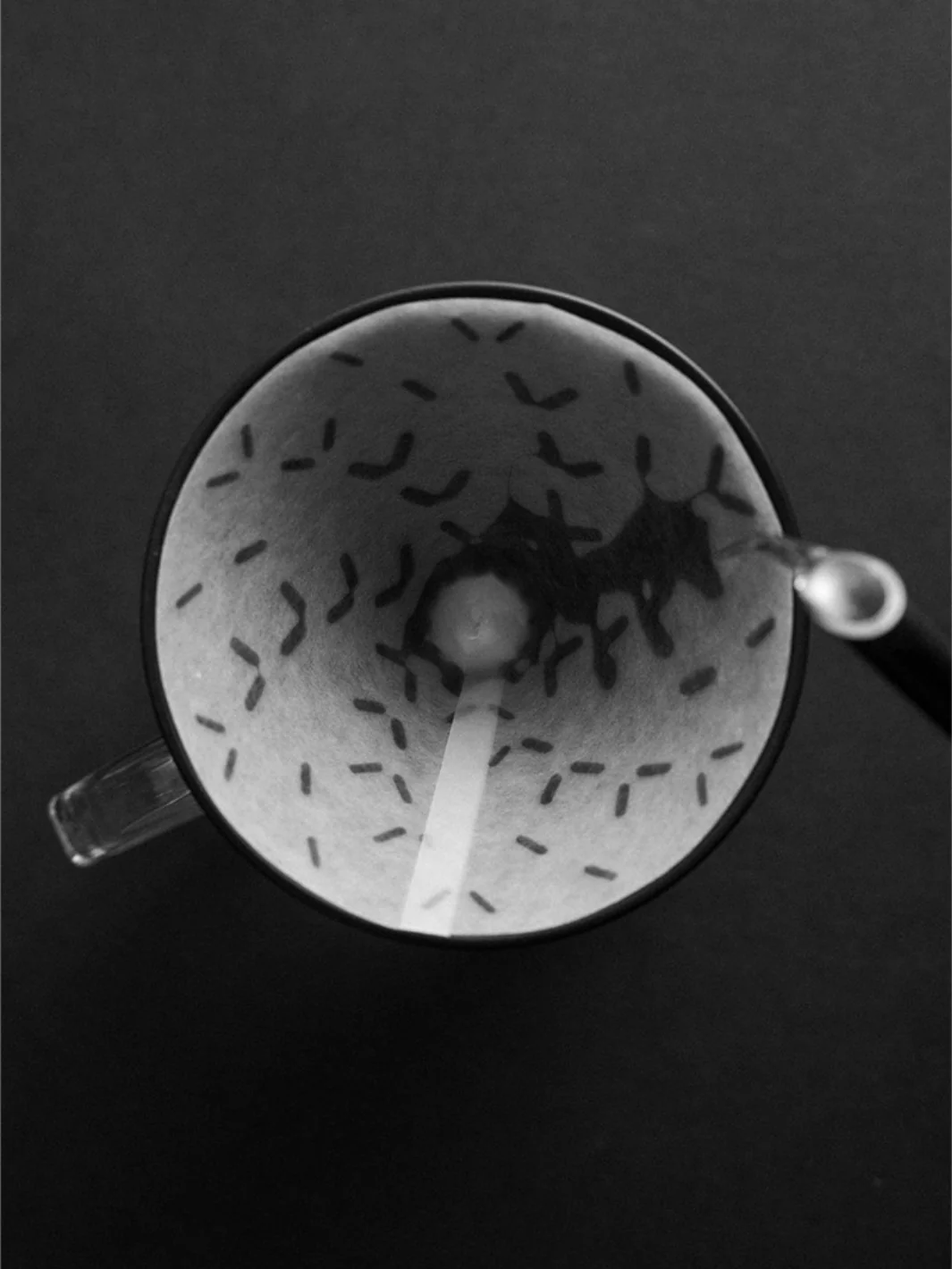 SIBARIST GRAYCANO Special Edition Coffee Filters - Image 2