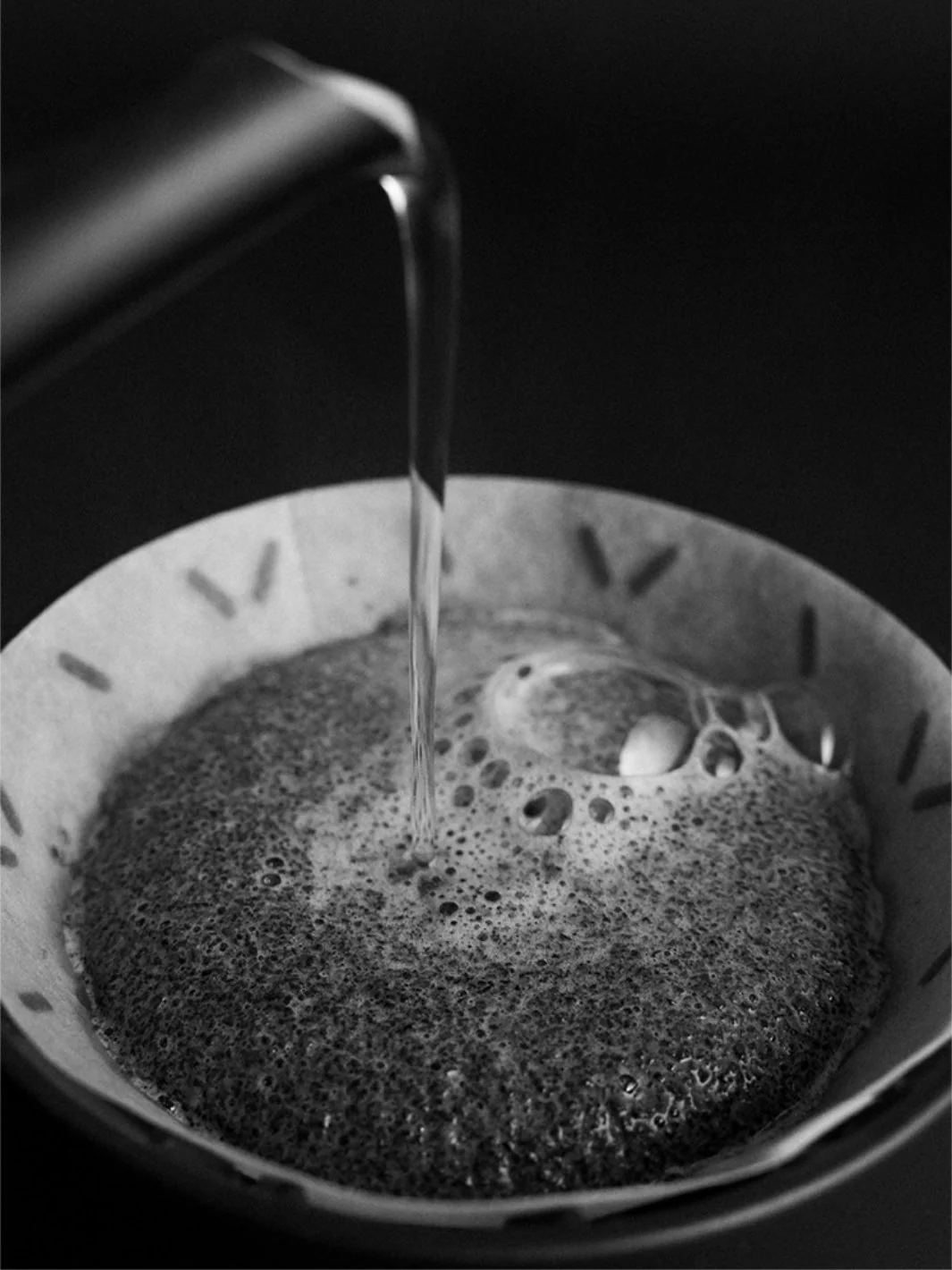 SIBARIST GRAYCANO Special Edition Coffee Filters - Image 5