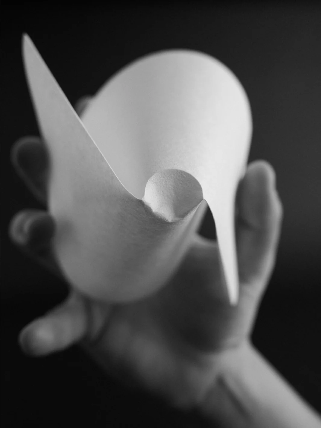 SIBARIST HYBRID Specialty Coffee Filters - Image 2