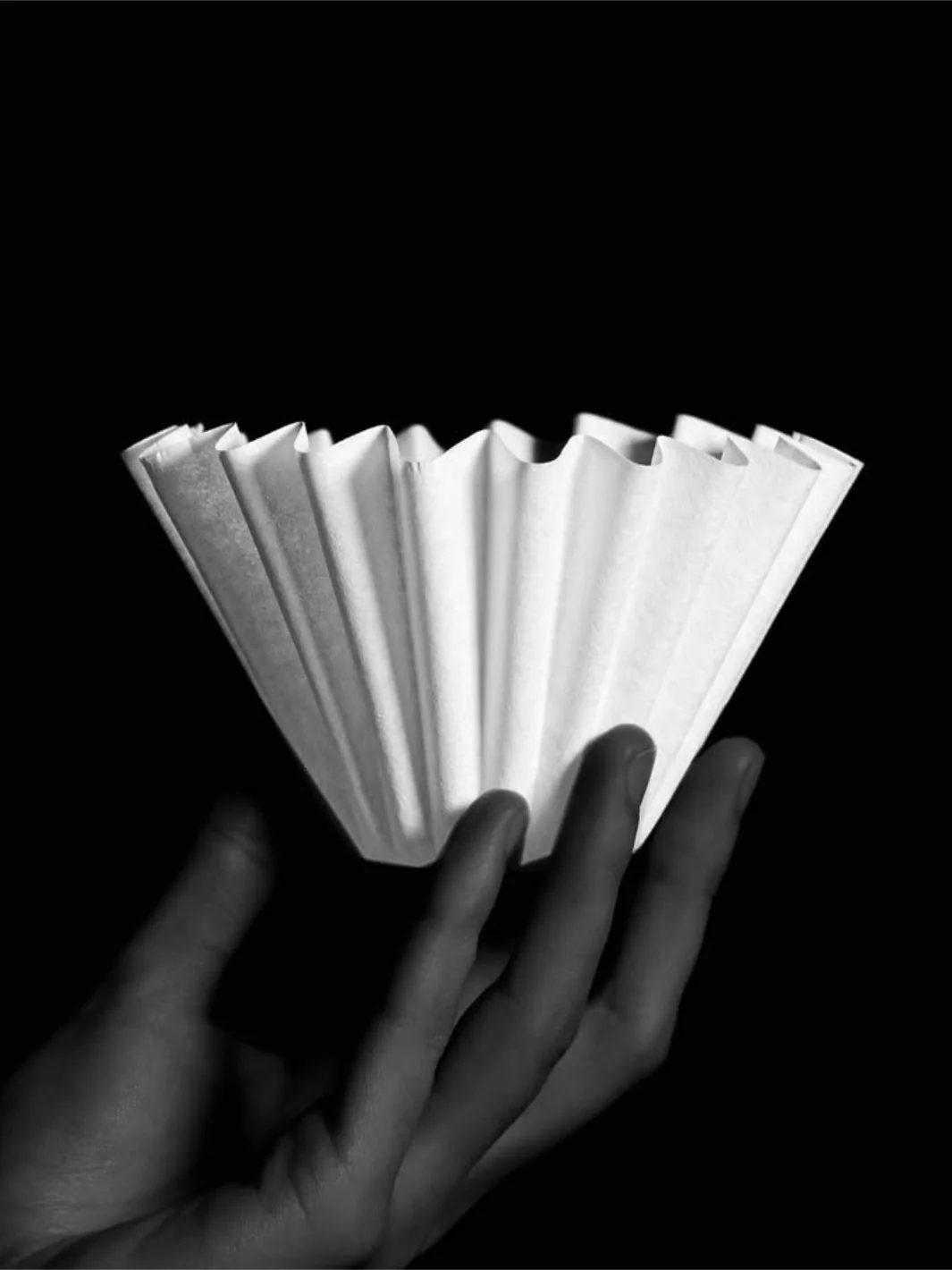 SIBARIST WAVE Specialty Coffee Filters - Image 2