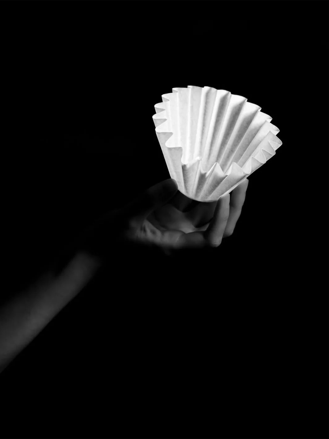 SIBARIST WAVE Specialty Coffee Filters - Image 4