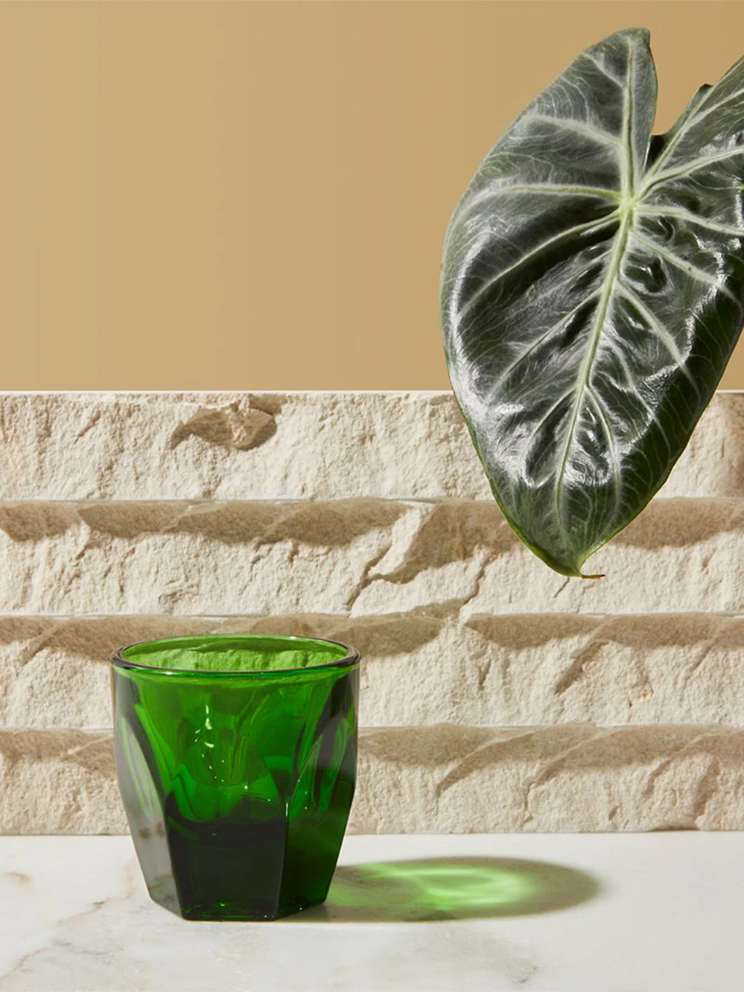 notNeutral VERO Cortado Glass (4.25oz/125ml) - Image 12