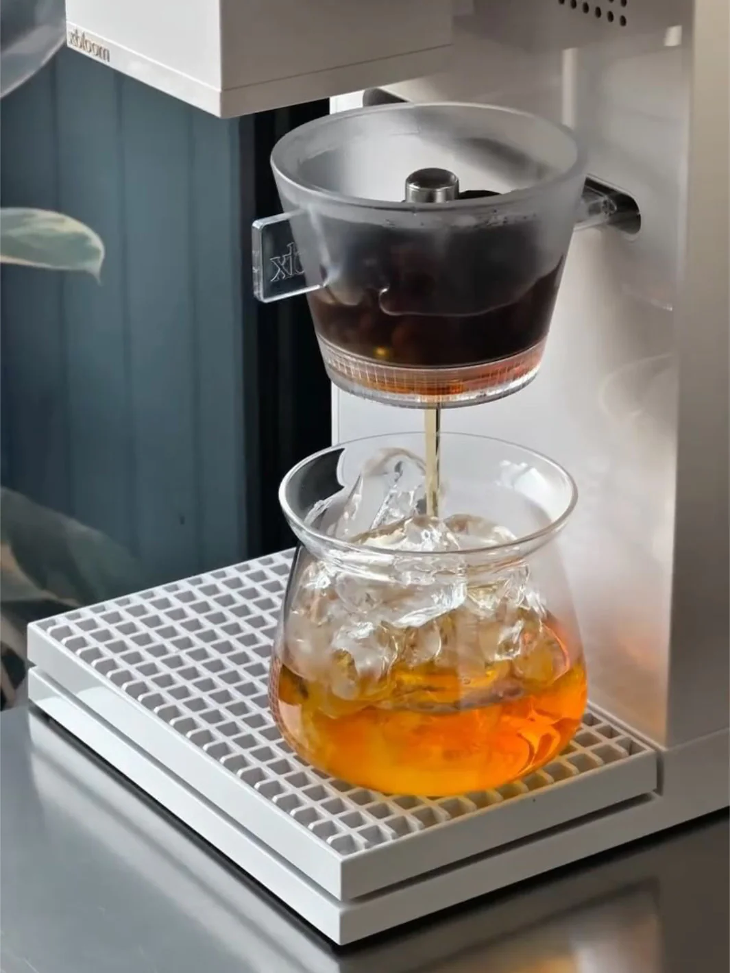xBloom Studio Omni Tea Brewer - Image 8